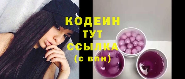 твердый Заводоуковск