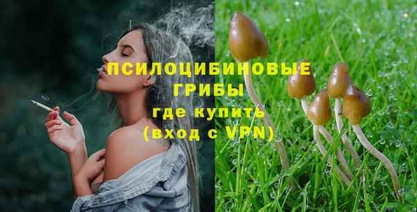 молекула духа Заволжск