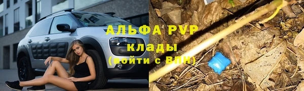 молекула духа Заволжск